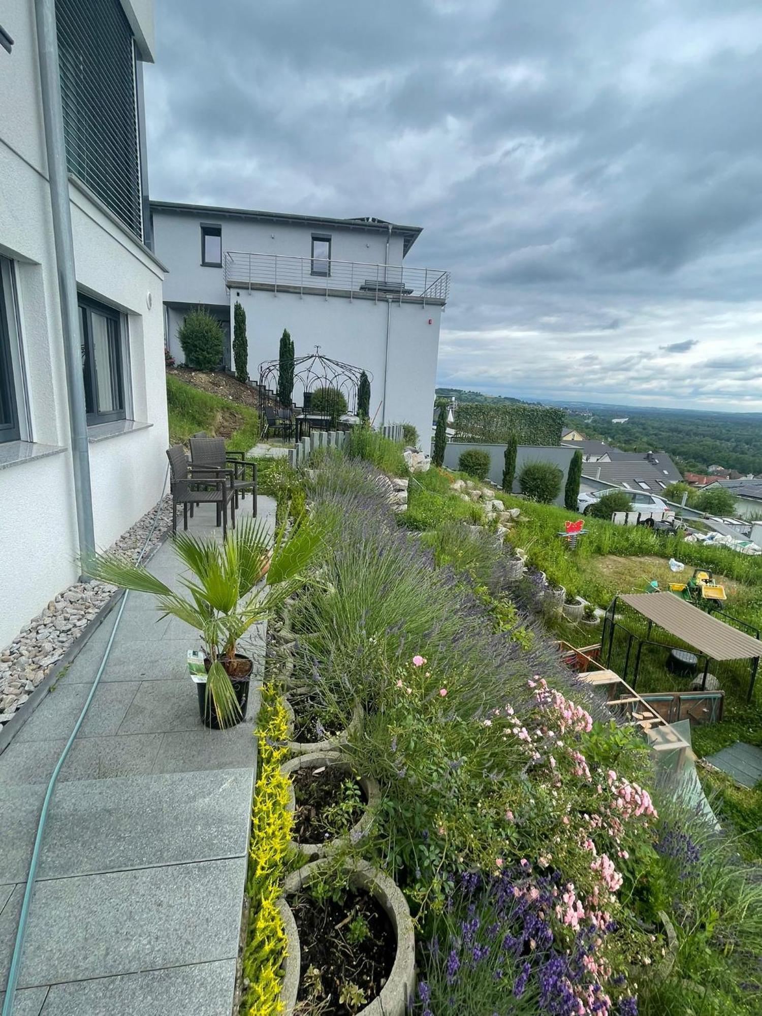 Ferienwohnung Vogesenblick Bad Bellingen Exterior foto