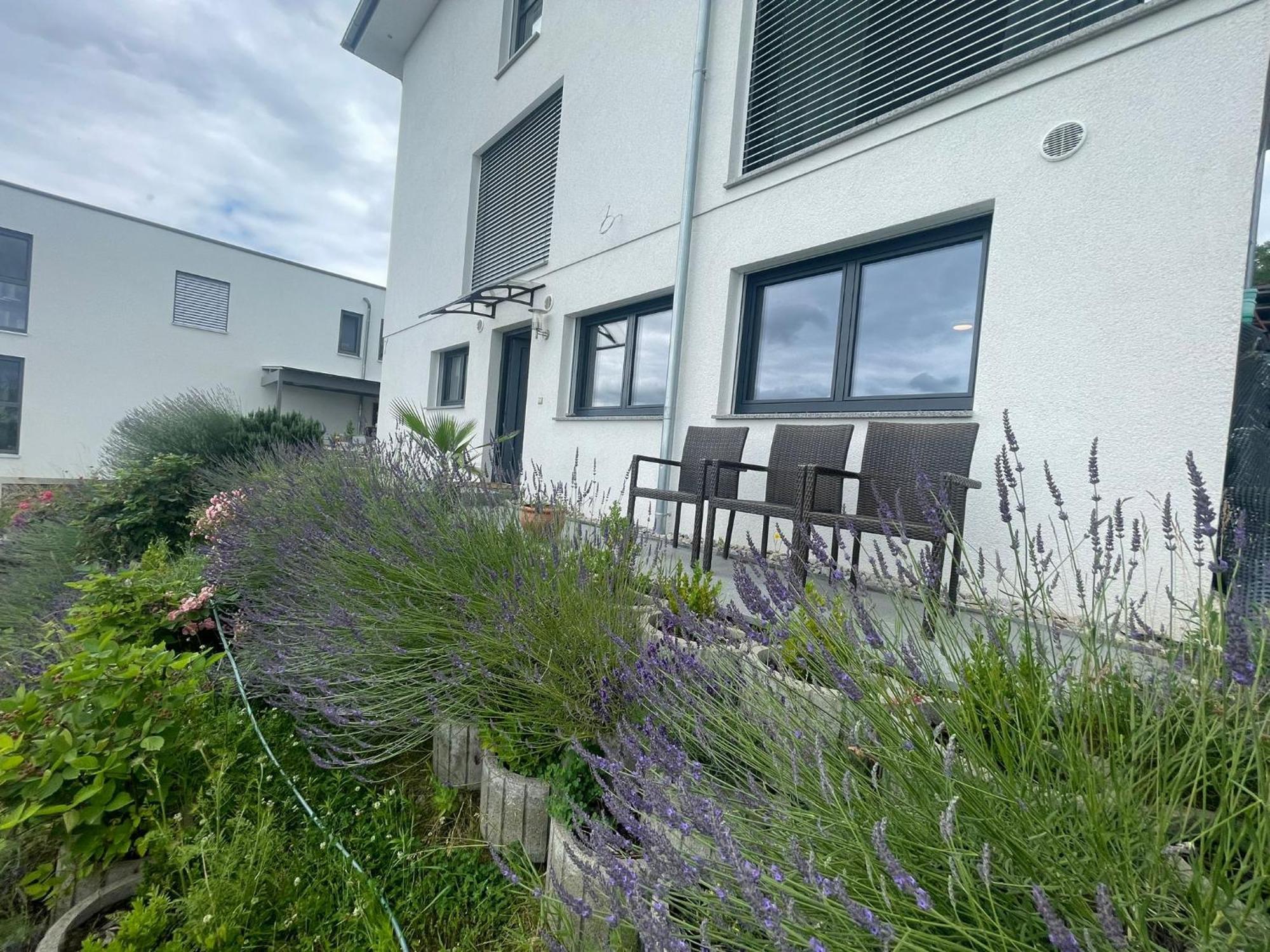 Ferienwohnung Vogesenblick Bad Bellingen Exterior foto