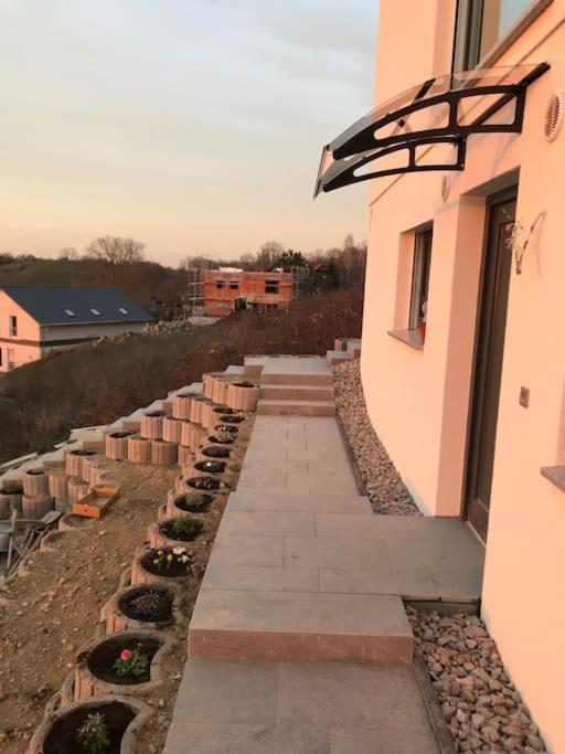 Ferienwohnung Vogesenblick Bad Bellingen Exterior foto